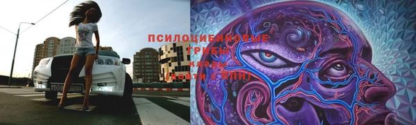 гидра Бикин