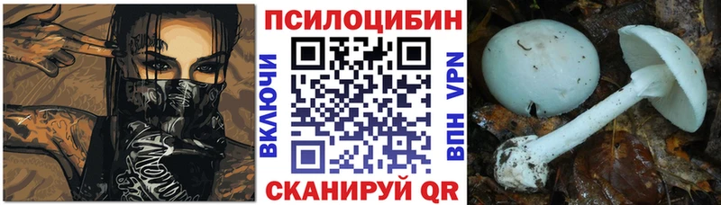 Галлюциногенные грибы Psilocybe Моздок